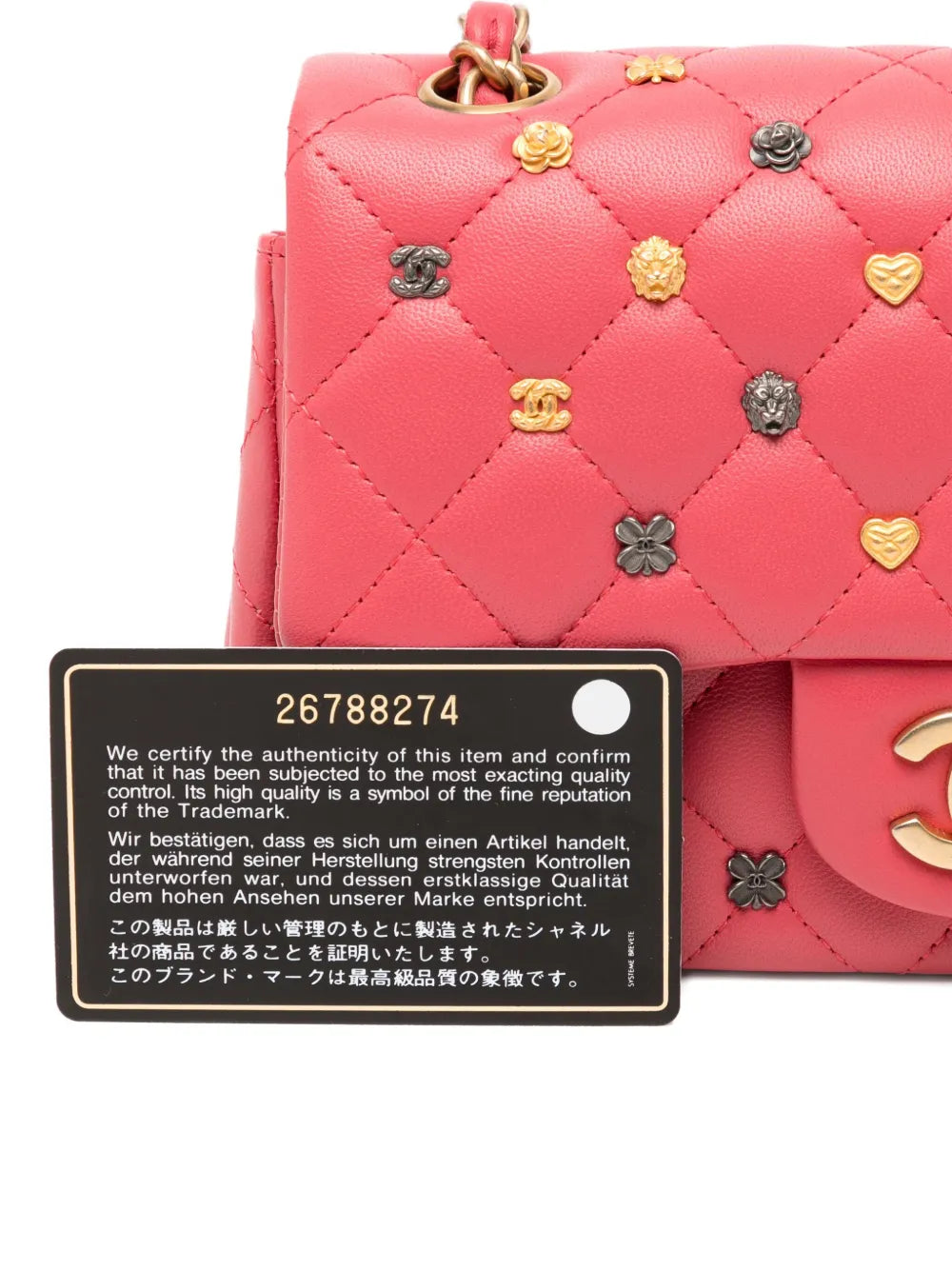 Pre-OwnedCHANEL Pre-OwnedClassic Flap Bag Studded