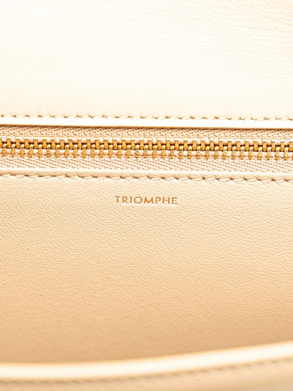 Pre-OwnedCeline Pre-Owned2022 Teen Shiny Calfskin Triomphe Besace Clea Chain crossbody bag
