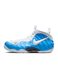 Nike Air Foamposite Pro
